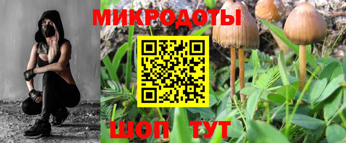 Галлюциногенные грибы Psilocybe Ахтубинск