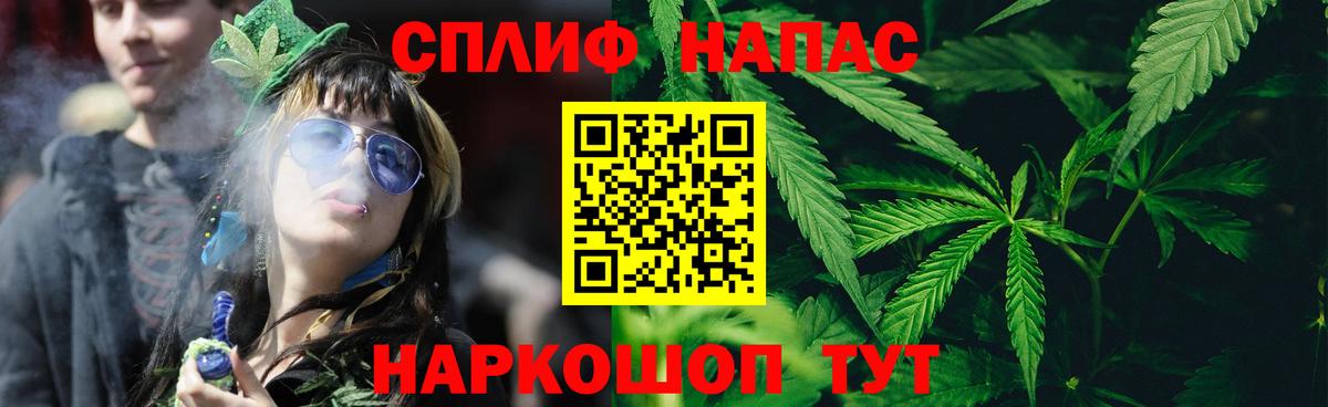 Бошки марихуана планчик Ахтубинск